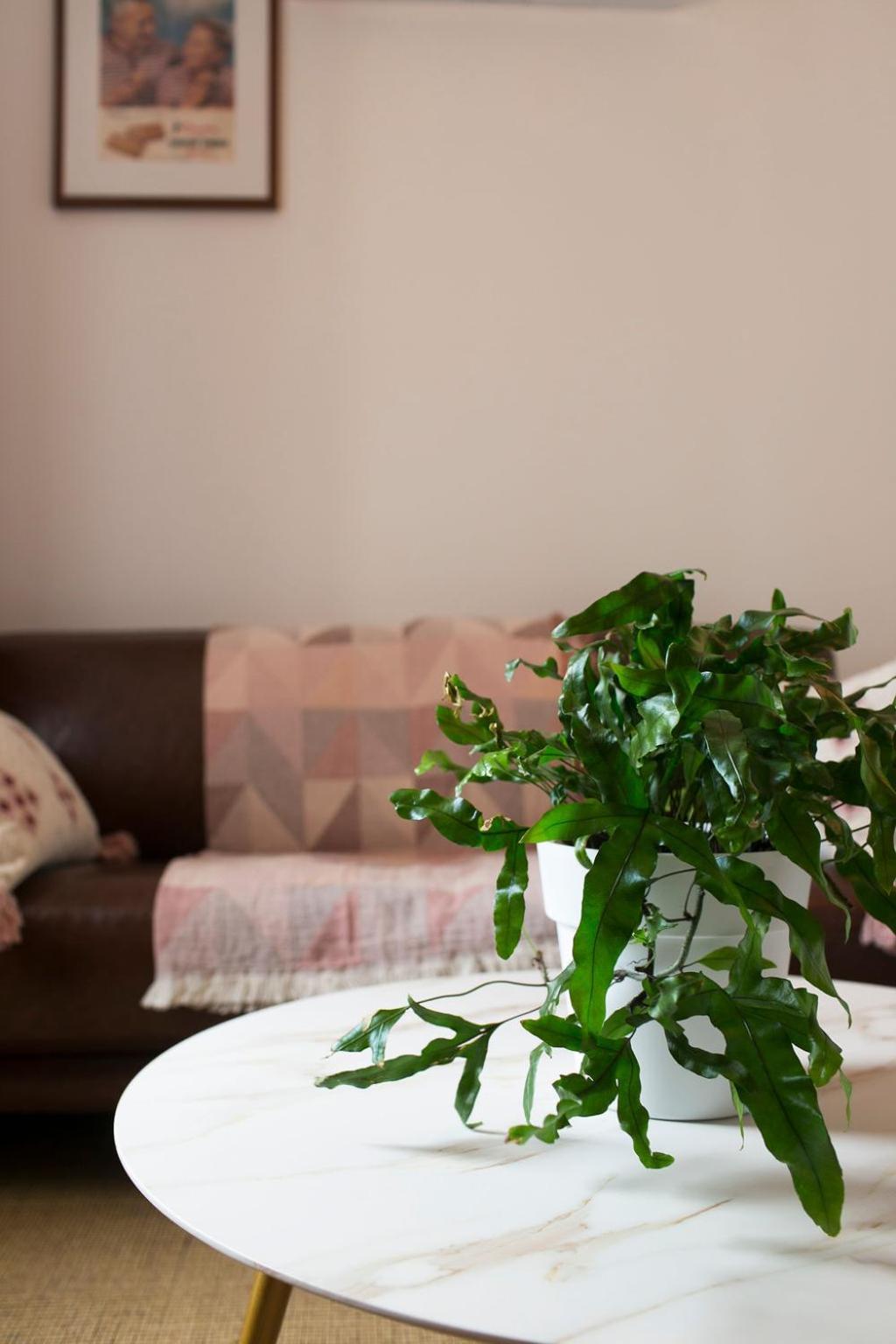 William Arnott Boutique Accommodation Morpeth 客房 照片